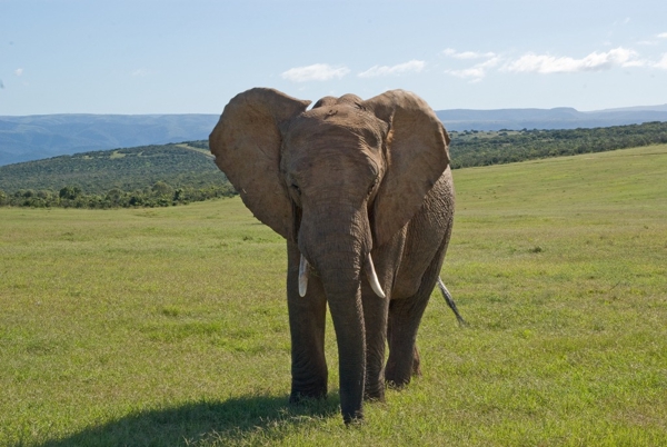 South Africa